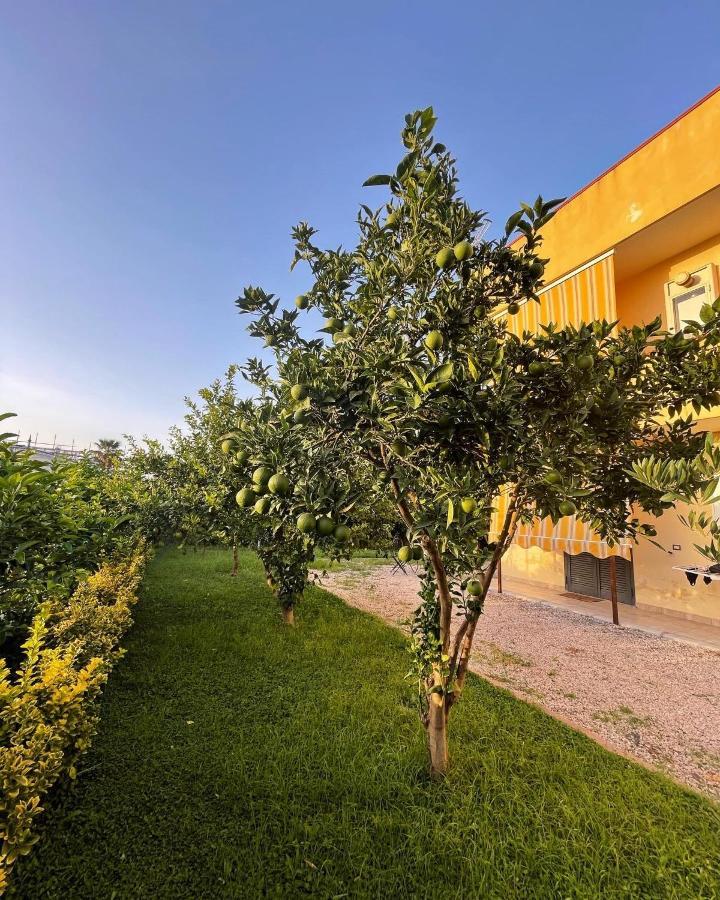 Casa Vacanze Paradise Santa Maria La Carità Exterior foto