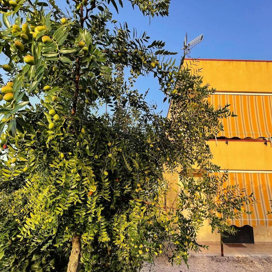 Casa Vacanze Paradise Santa Maria La Carità Exterior foto
