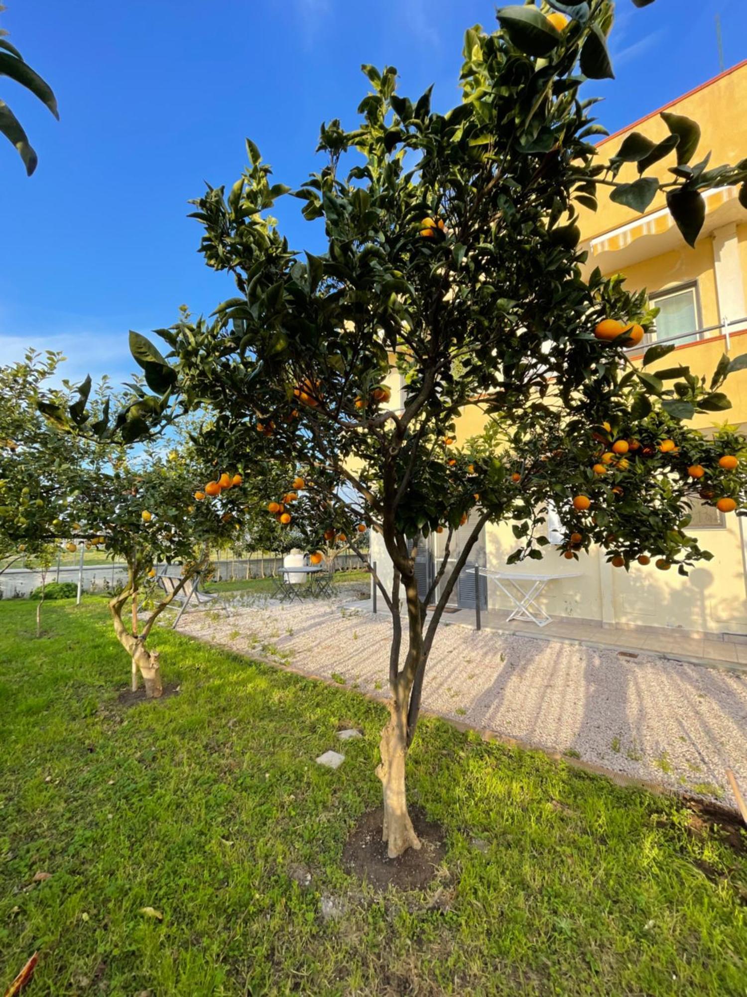 Casa Vacanze Paradise Santa Maria La Carità Exterior foto